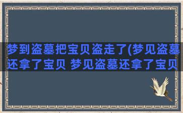 梦到盗墓把宝贝盗走了(梦见盗墓还拿了宝贝 梦见盗墓还拿了宝贝的含义)